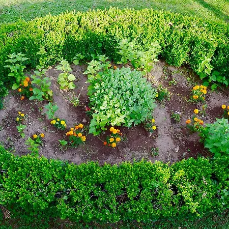 Vikendica Casa vacanze