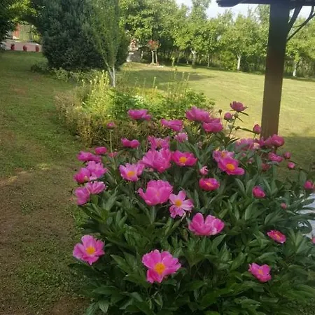 Vikendica Tatil Evi