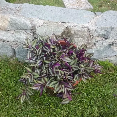 Vikendica Ahatovići