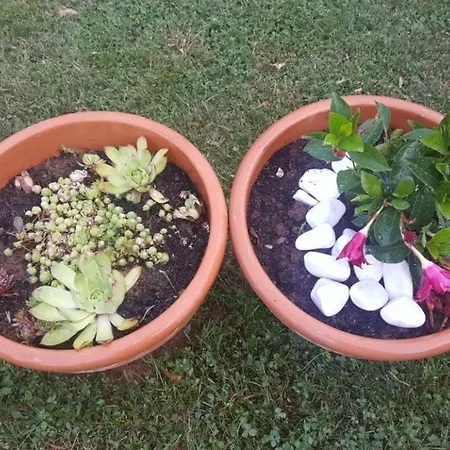 Vikendica Casa vacanze *